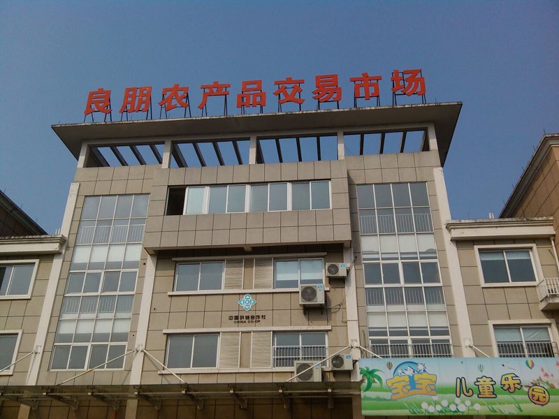 探索中药材种植的绿色生态之路