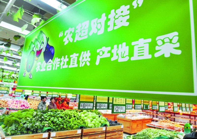 水果种植基地：一片丰收的绿洲