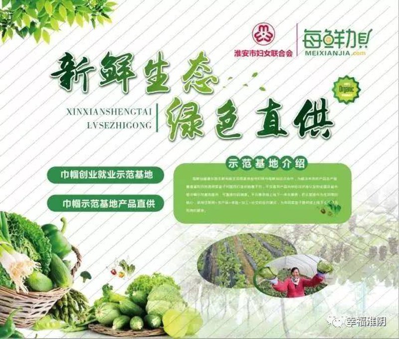 选购无公害农产品的实用技巧